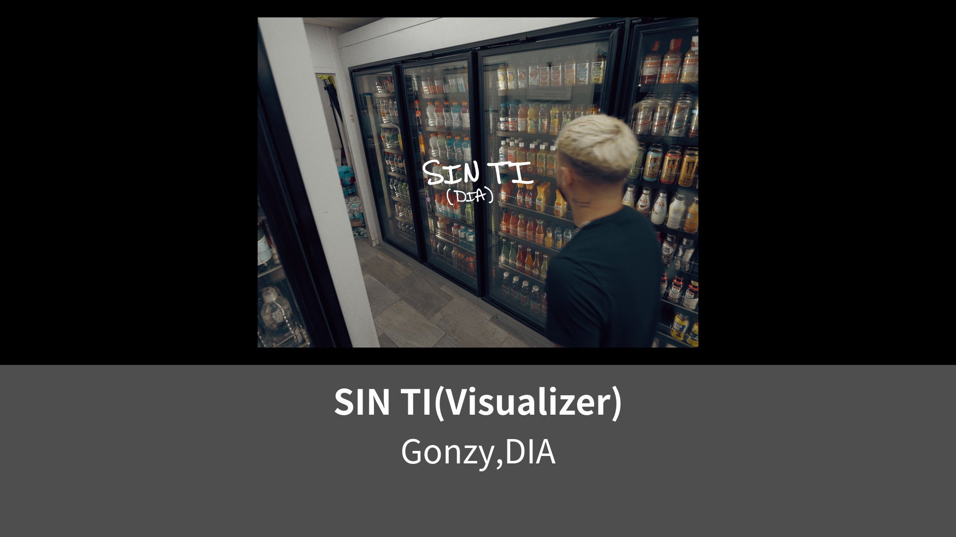 SIN TI Visualizer Leminoレミノドコモの新しい映像サービス 知らなかった大好きへ