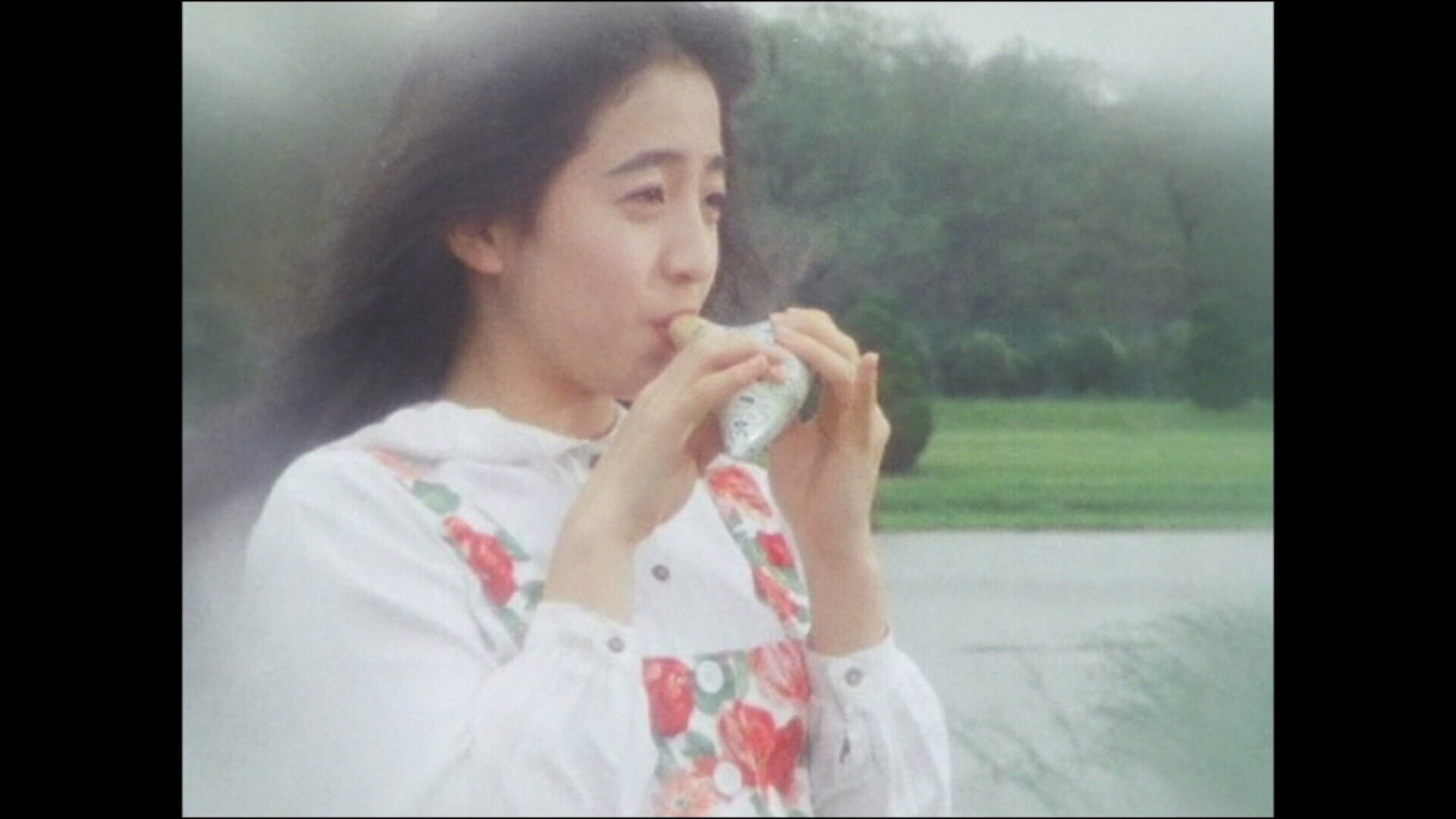 鳥人戦隊ジェットマン 第16話 | Lemino(レミノ) - 映画・ドラマ  