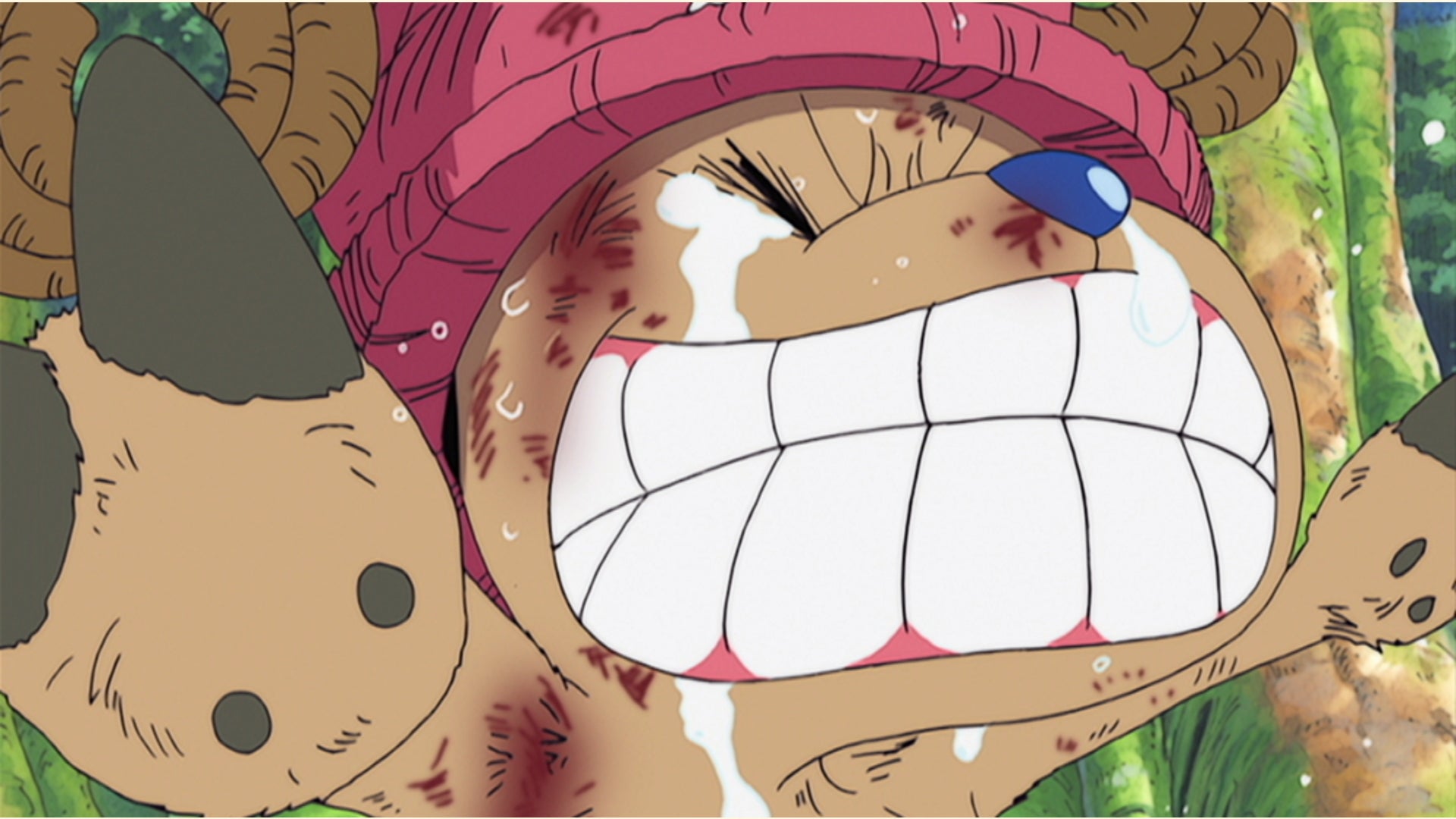 ワンピース アニメ ワンピース 第162話 | Lemino(レミノ) - 映画・ドラマ・アニメや音楽