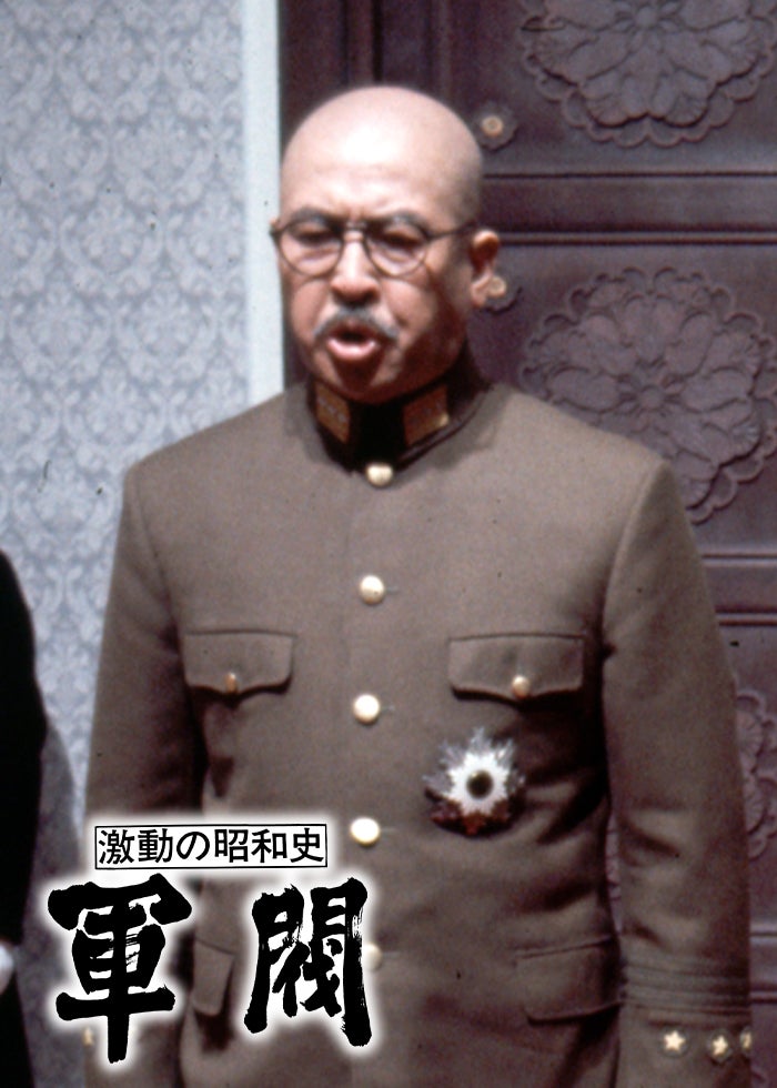 初回限定生産　聯合艦隊司令長官 山本五十六　太平洋戦争70年目の真実　パンフ付 51Fpt6twJgL._AC_SY200_QL15_.jpg