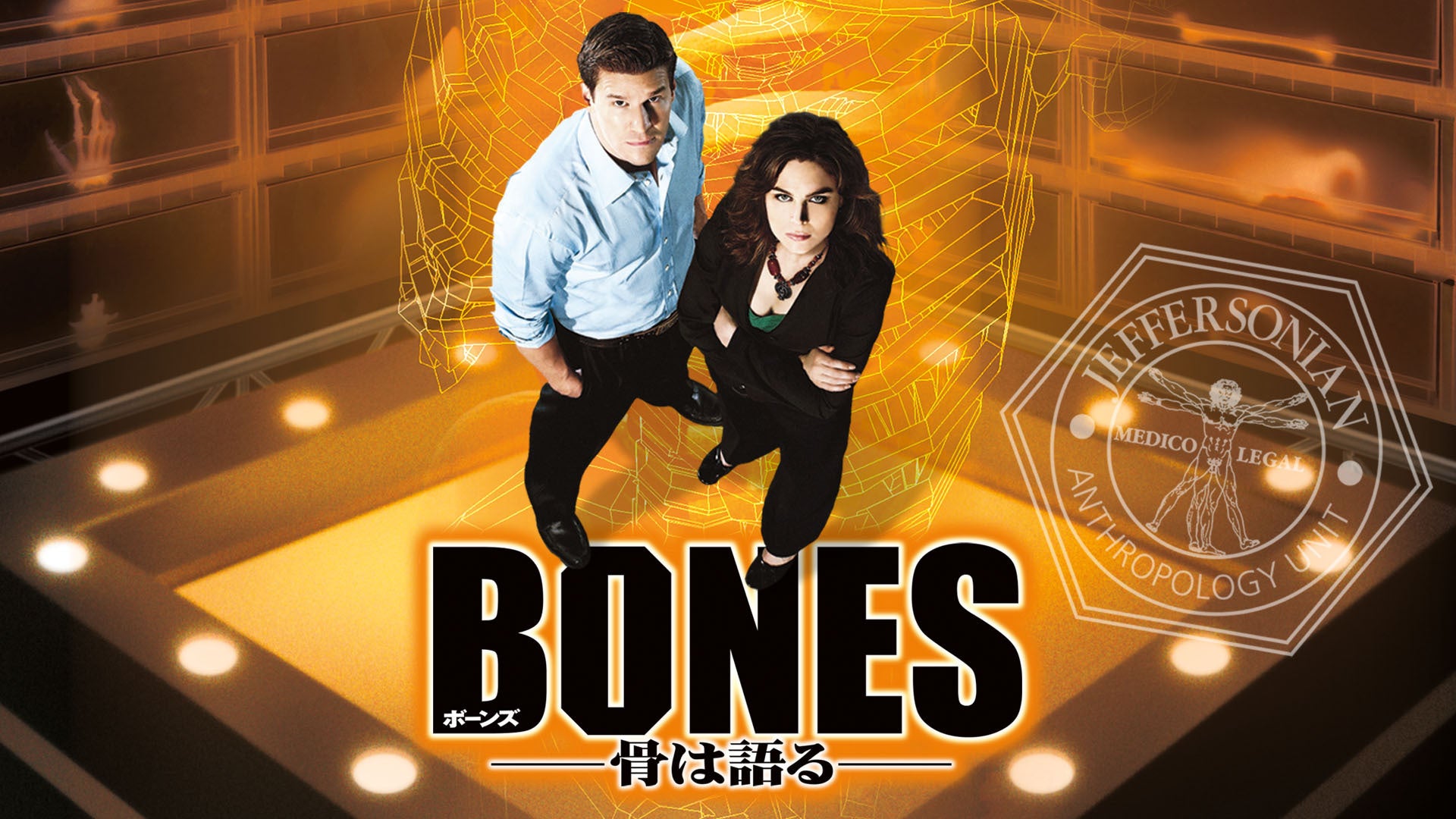 BONES -骨は語る- シーズン１ 第7話 | Lemino（レミノ）／ドコモの