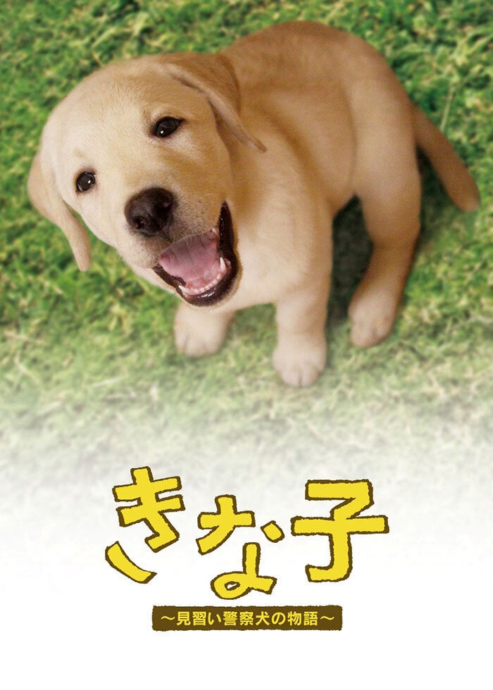 Dr.コトー診療所 | Lemino(レミノ) - 映画・ドラマ・アニメや