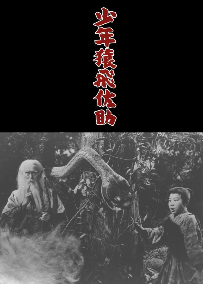 聯合艦隊司令長官 山本五十六 ー太平洋戦争70年目の真実ー