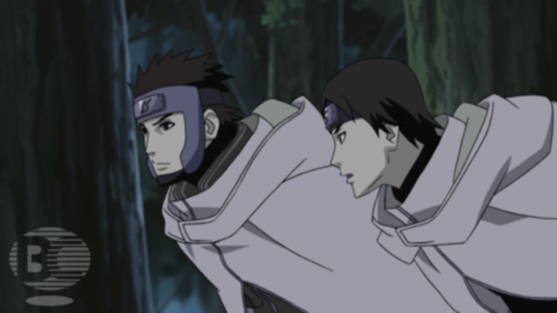 NARUTO-ナルト- 疾風伝 六尾編 | Lemino(レミノ) - 映画・ドラマ