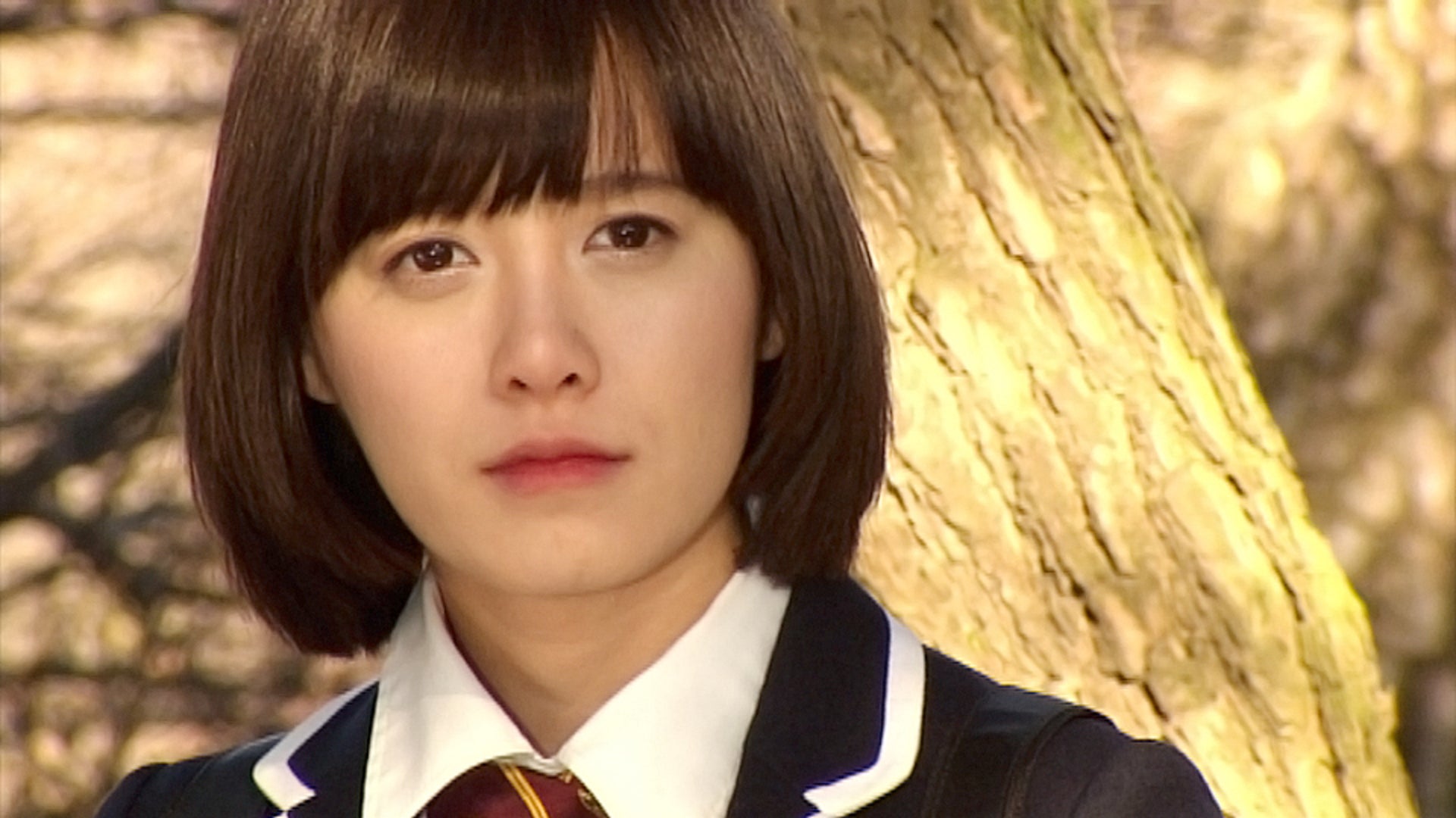 花より男子~Boys Over Flowers 全25話 | Lemino(レミノ) - 映画 花より男子~Boys Over Flowers 全25話 | Lemino(レミノ) - 映画
