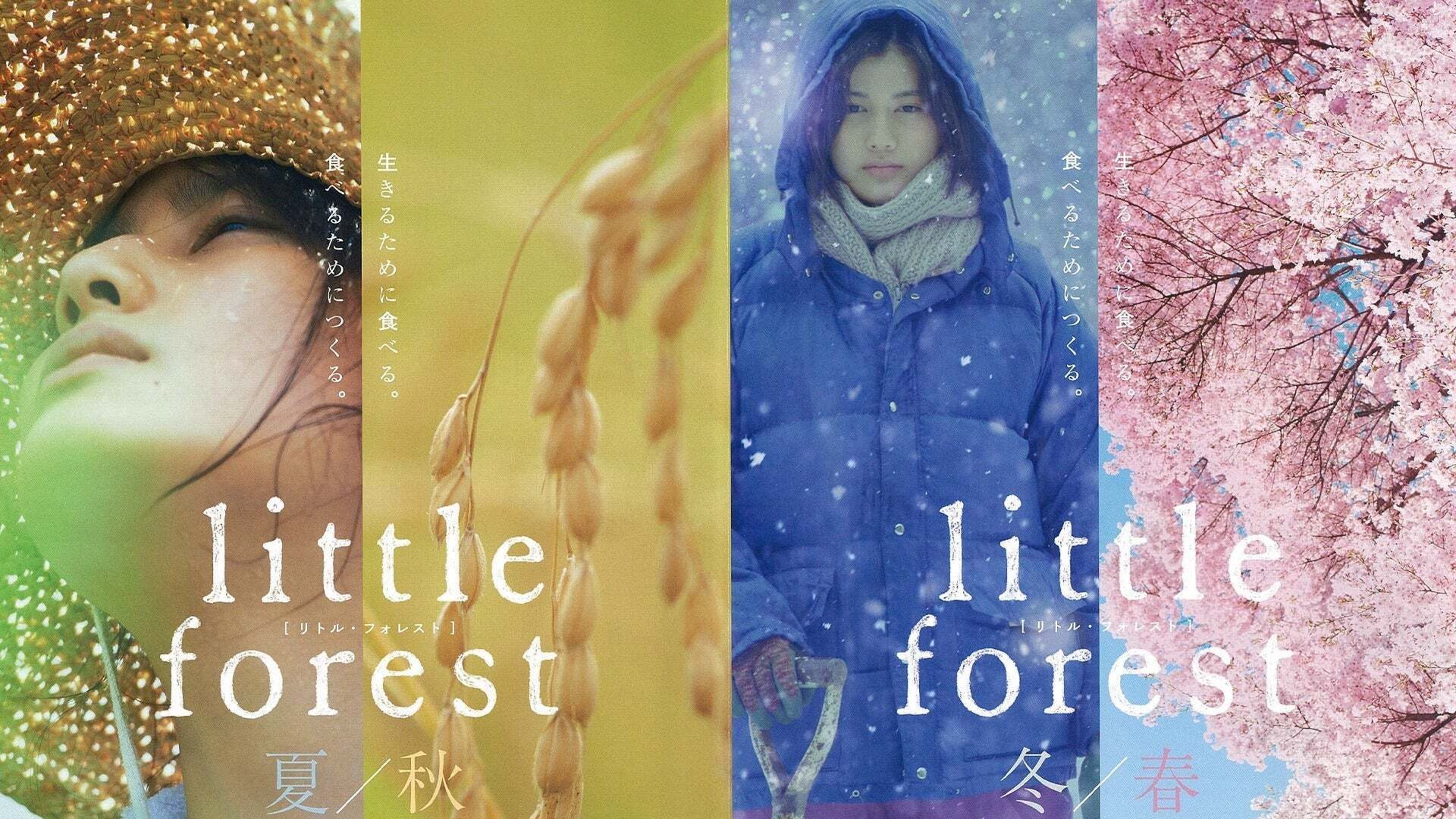 リトル・フォレスト 四季 | Lemino(レミノ) - 映画・ドラマ・アニメや 