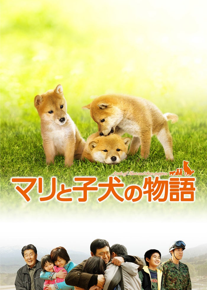 タスマニア物語DVD タスマニア物語 | HMV&BOOKS online - PCBC-50122