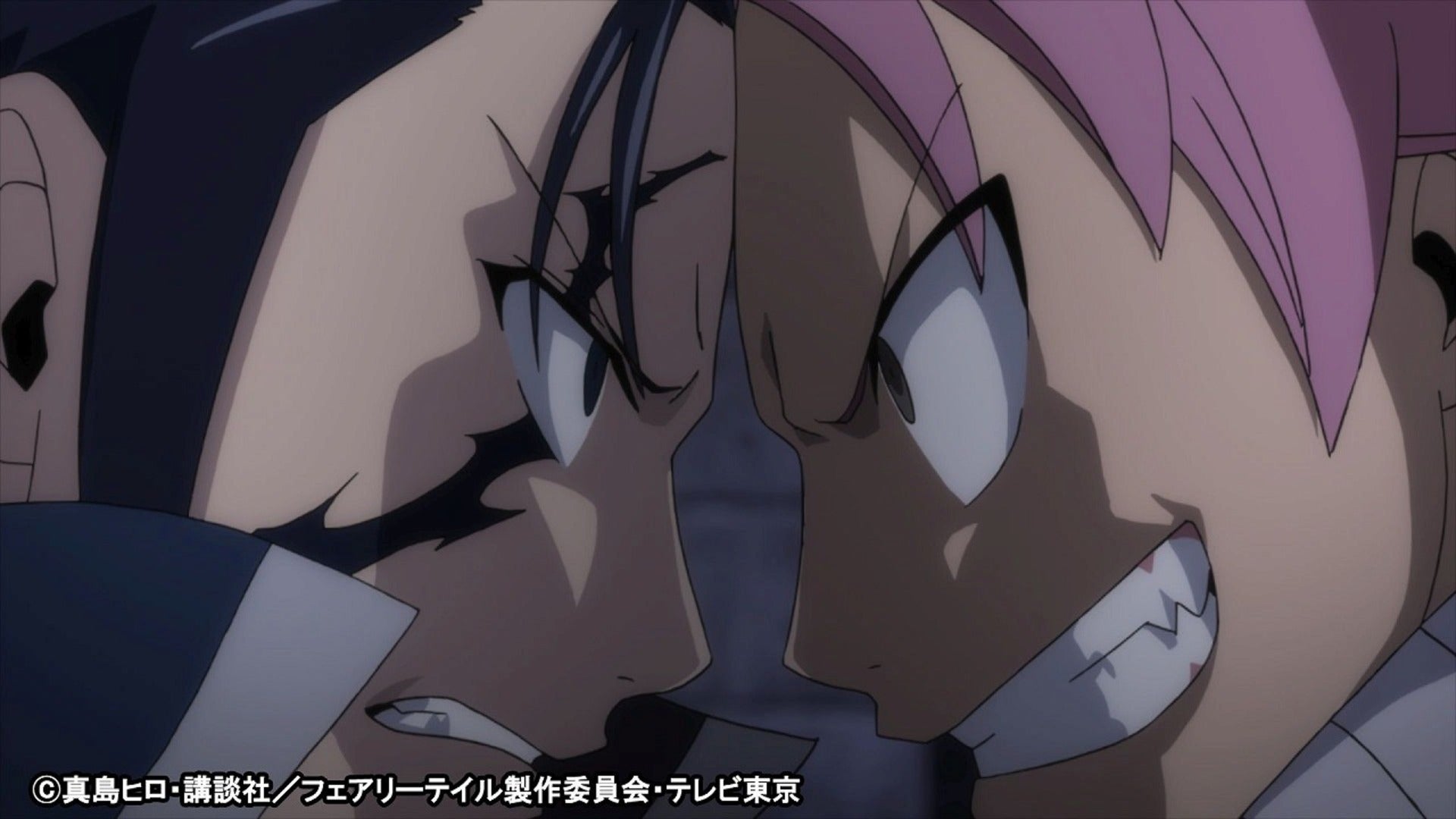 FAIRY TAIL ファイナルシリーズ 第13話 | Lemino(レミノ) - 映画