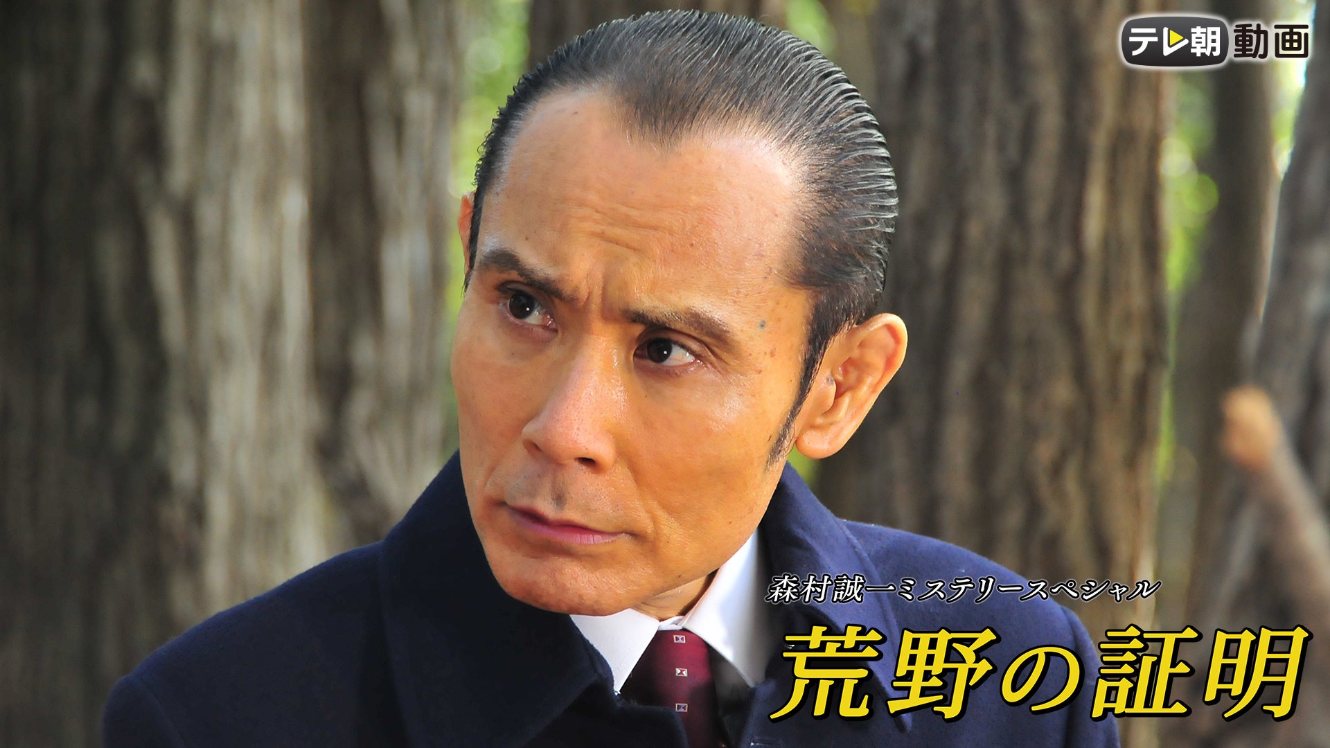 【中古】 霧笛の余韻 牛尾刑事・事件簿/双葉社/森村誠一 中古】 霧笛の余韻 牛尾刑事・事件簿/双葉社/森村誠一 霧笛の