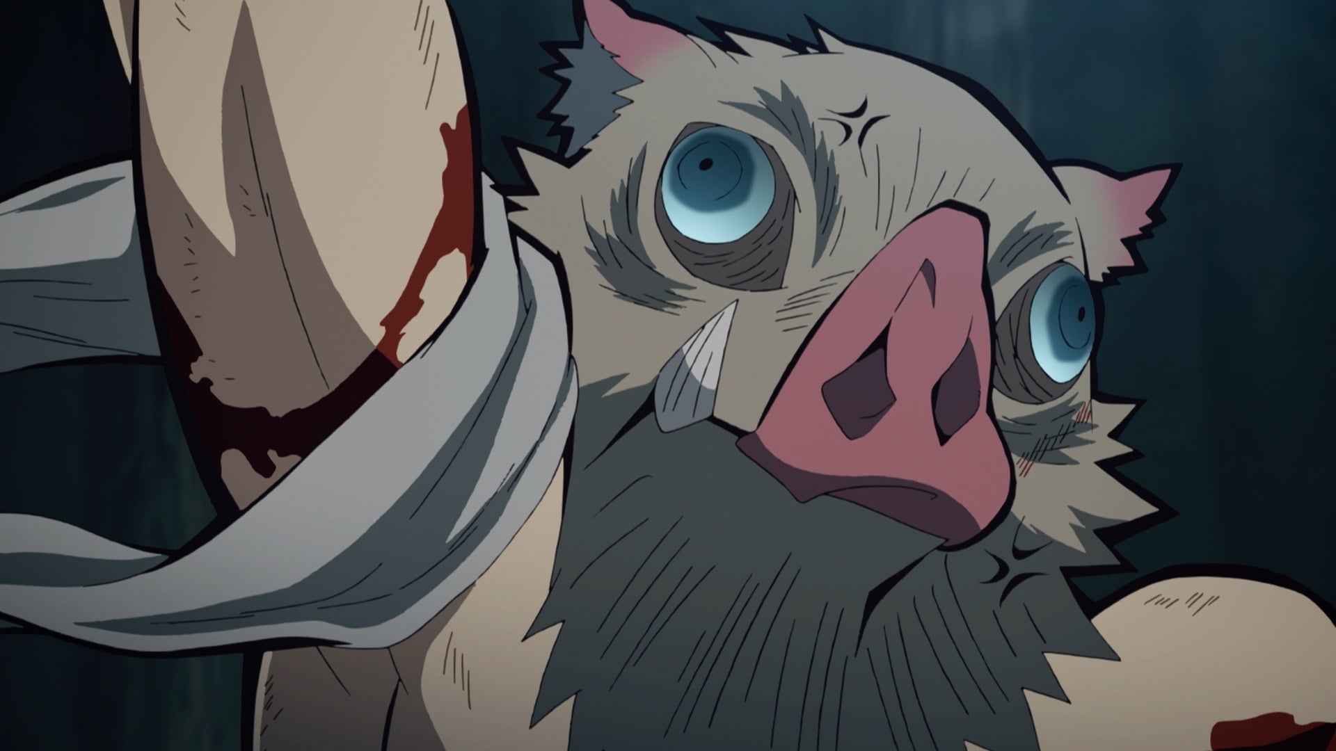 テレビアニメ「鬼滅の刃」竈門炭治郎 立志編 第十七話 | Lemino(レミノ