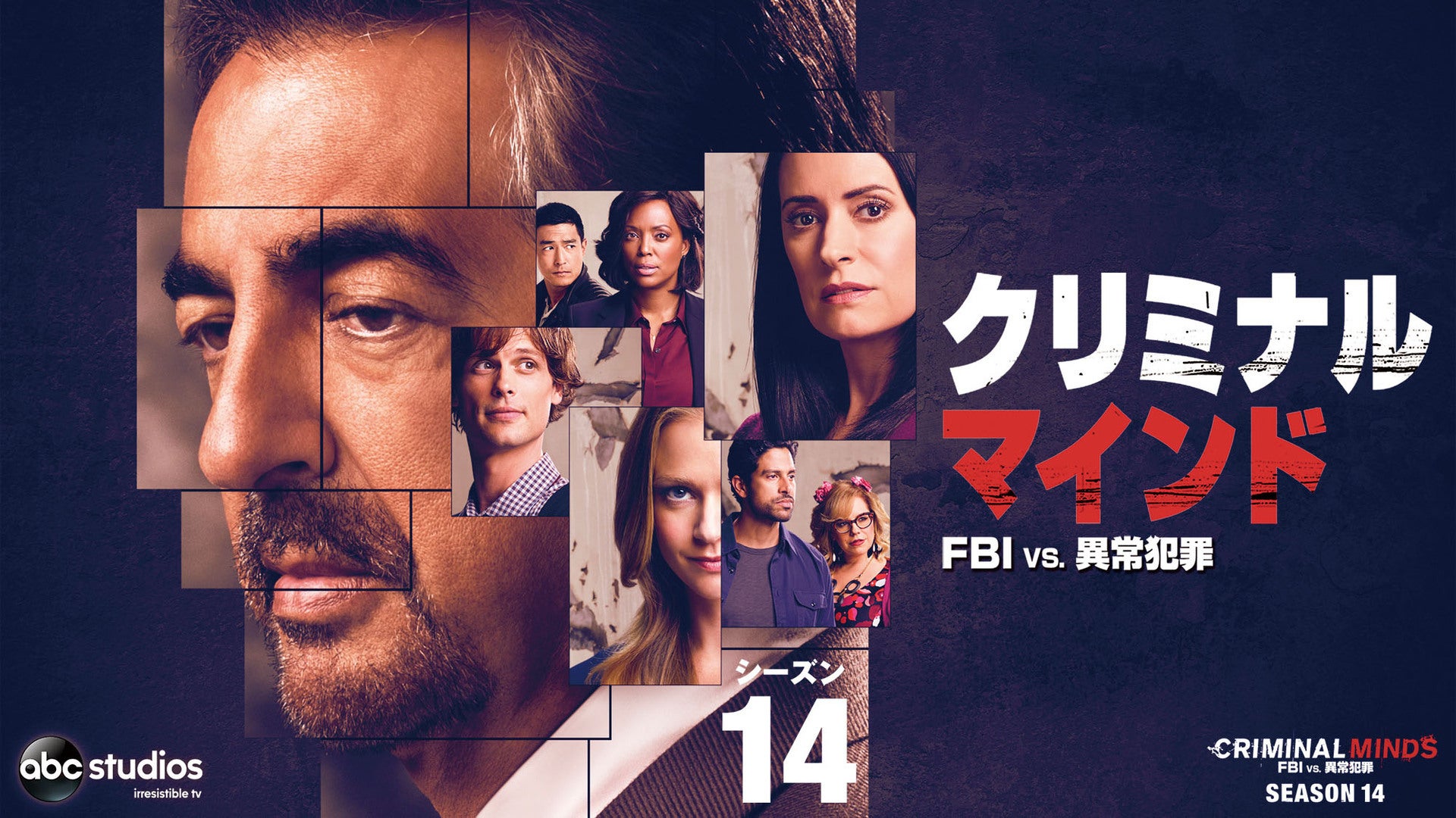 クリミナル・マインド/FBI vs 異常犯罪 シーズン1 〜８　まとめ売り クリミナル・マインド/FBI vs 異常犯罪 シーズン1 〜8 まとめ