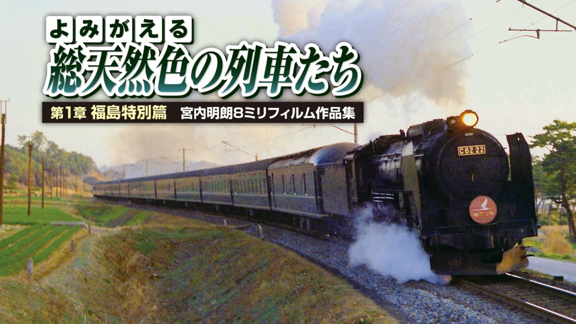 よみがえる総天然色の列車たち1西日本の私鉄篇昭和36~39年宮内明朗8ミリフィルム作品集 [DVD] よみがえる総天然色の列車たち1西日本の私鉄篇昭和36~39年宮内