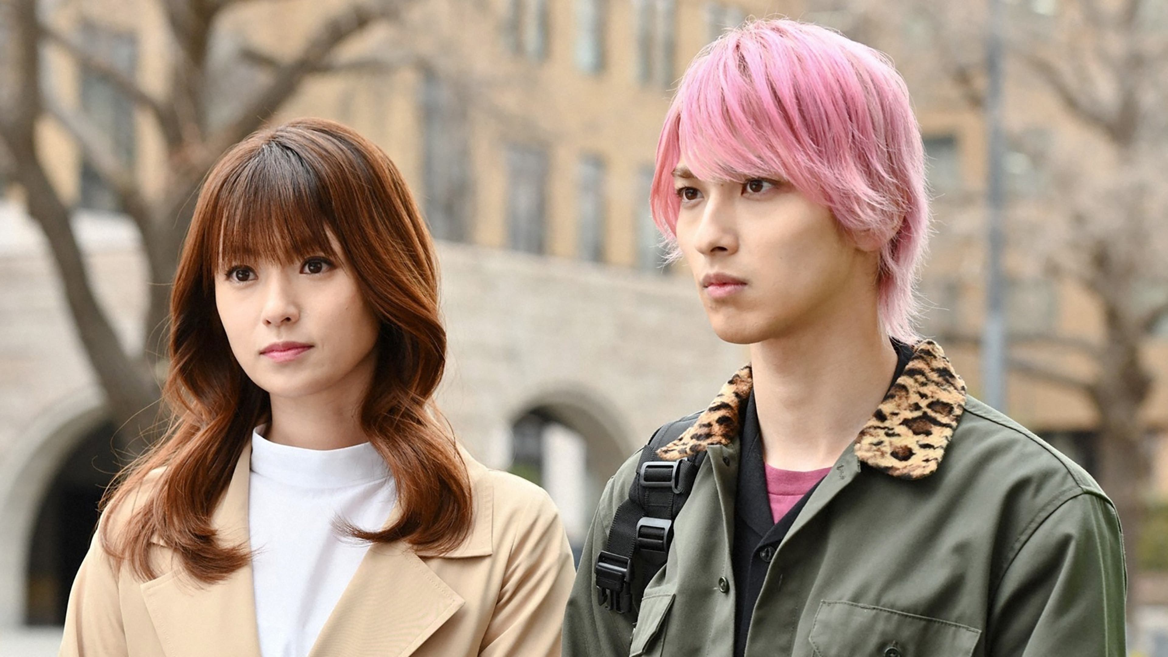 活動歴および当時の関連ビジュアル記録