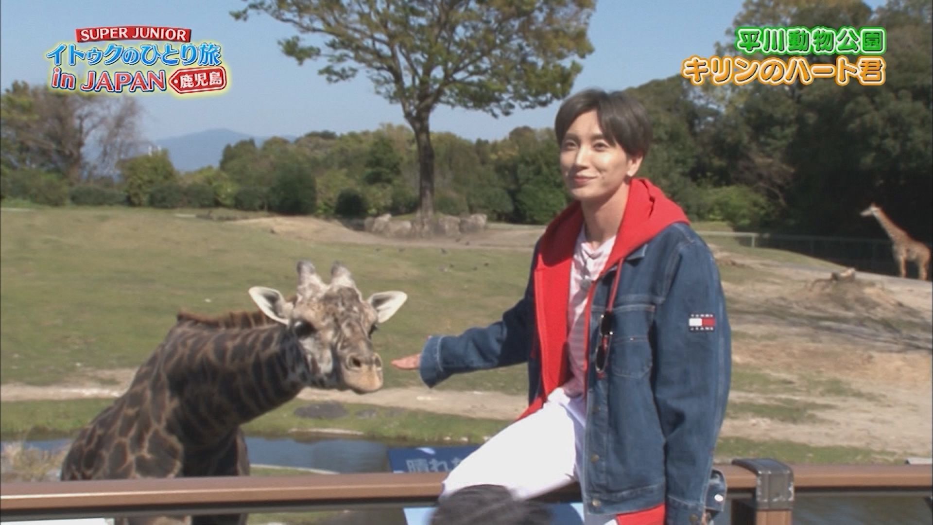 SUPER JUNIOR-イトゥクのひとり旅〜鹿児島編 第6話 | Lemino(レミノ