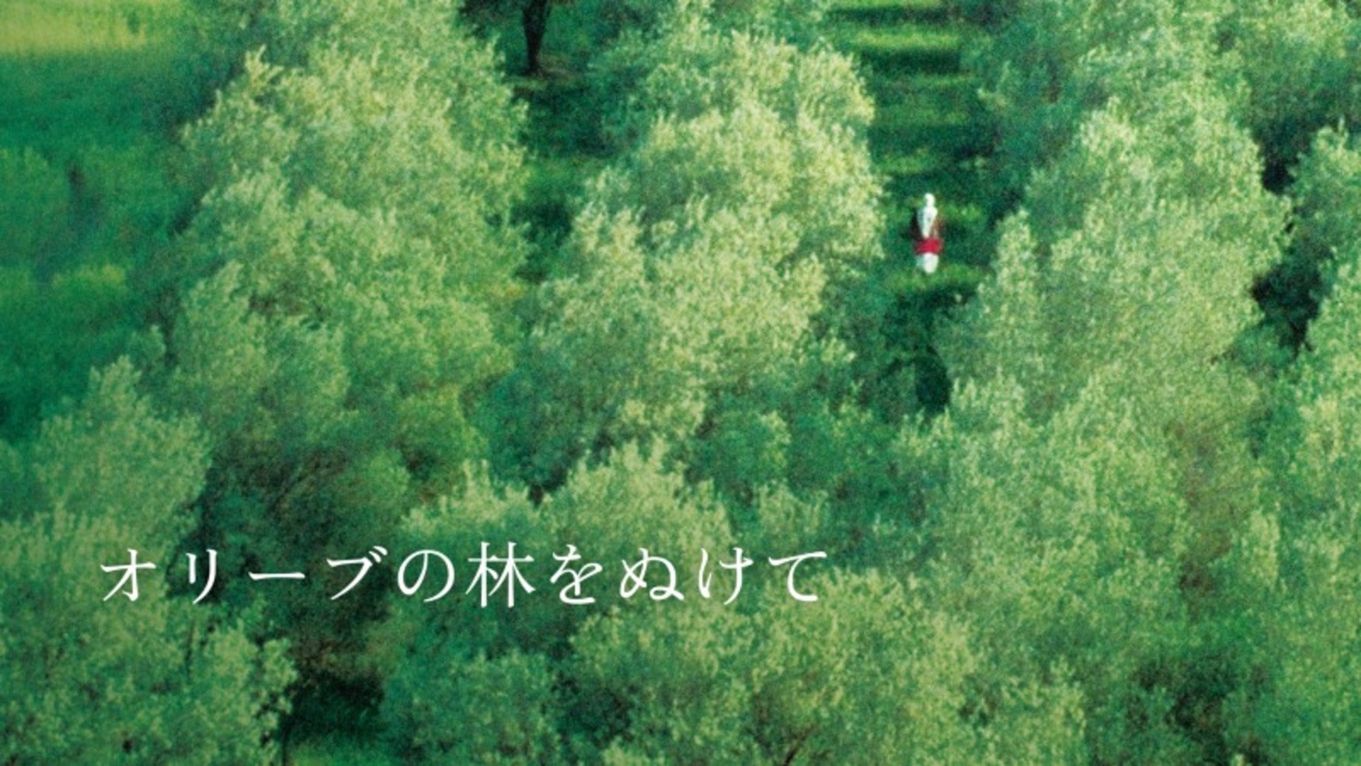 オリーブの林をぬけて Lemino(レミノ) 映画・ドラマ・アニメや音楽・ライブが見放題 ドコモの動画配信サービス