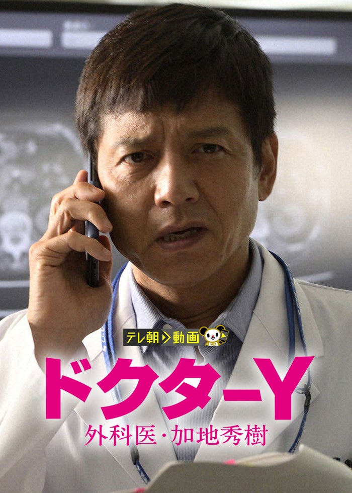 チーム・バチスタSP2011～さらばジェネラル！天才救命医は愛する人を