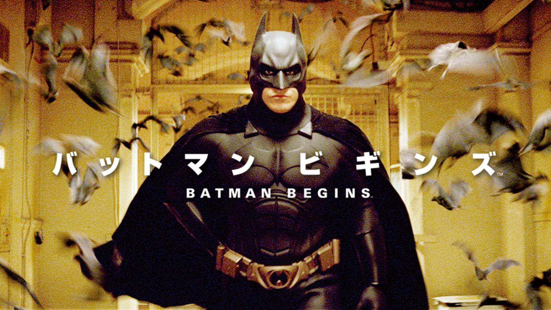 バットマン ビギンズ | Lemino(レミノ) - 映画・ドラマ・アニメ