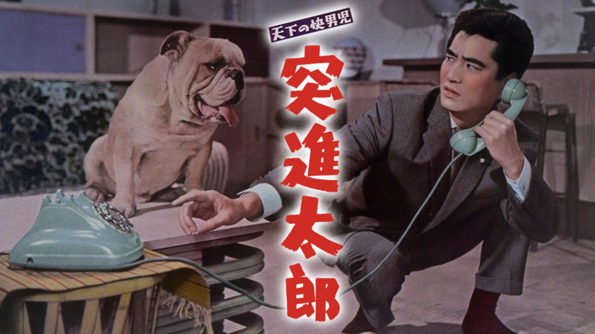 天下の快男児 突進太郎 | Lemino(レミノ) - 映画・ドラマ・アニメや音楽・ライブが見放題 | ドコモの動画配信サービス