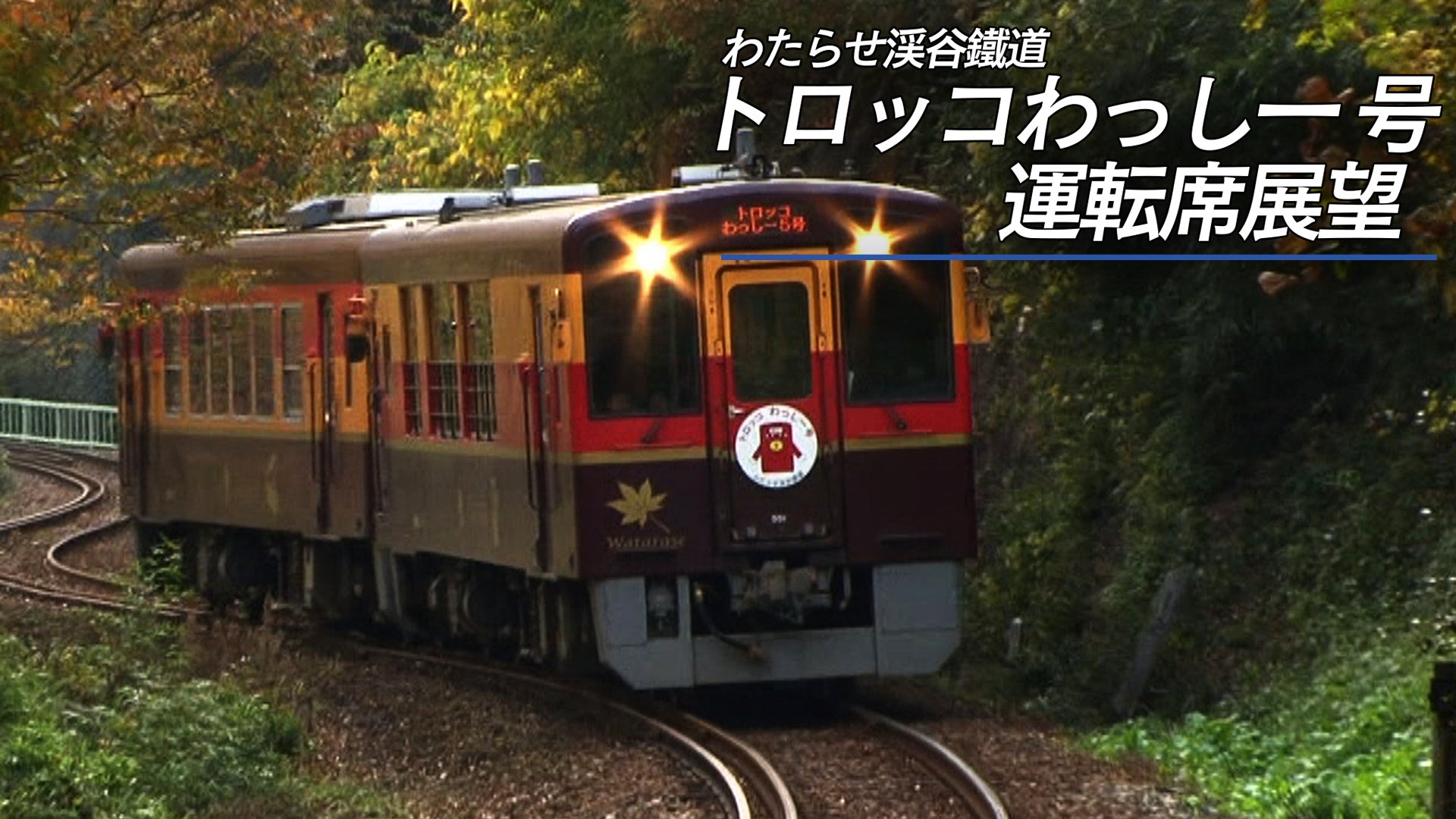 偉大な わたらせ渓谷鐵道トロッコわっしー号運転席展望 Lemino(レミノ | その他