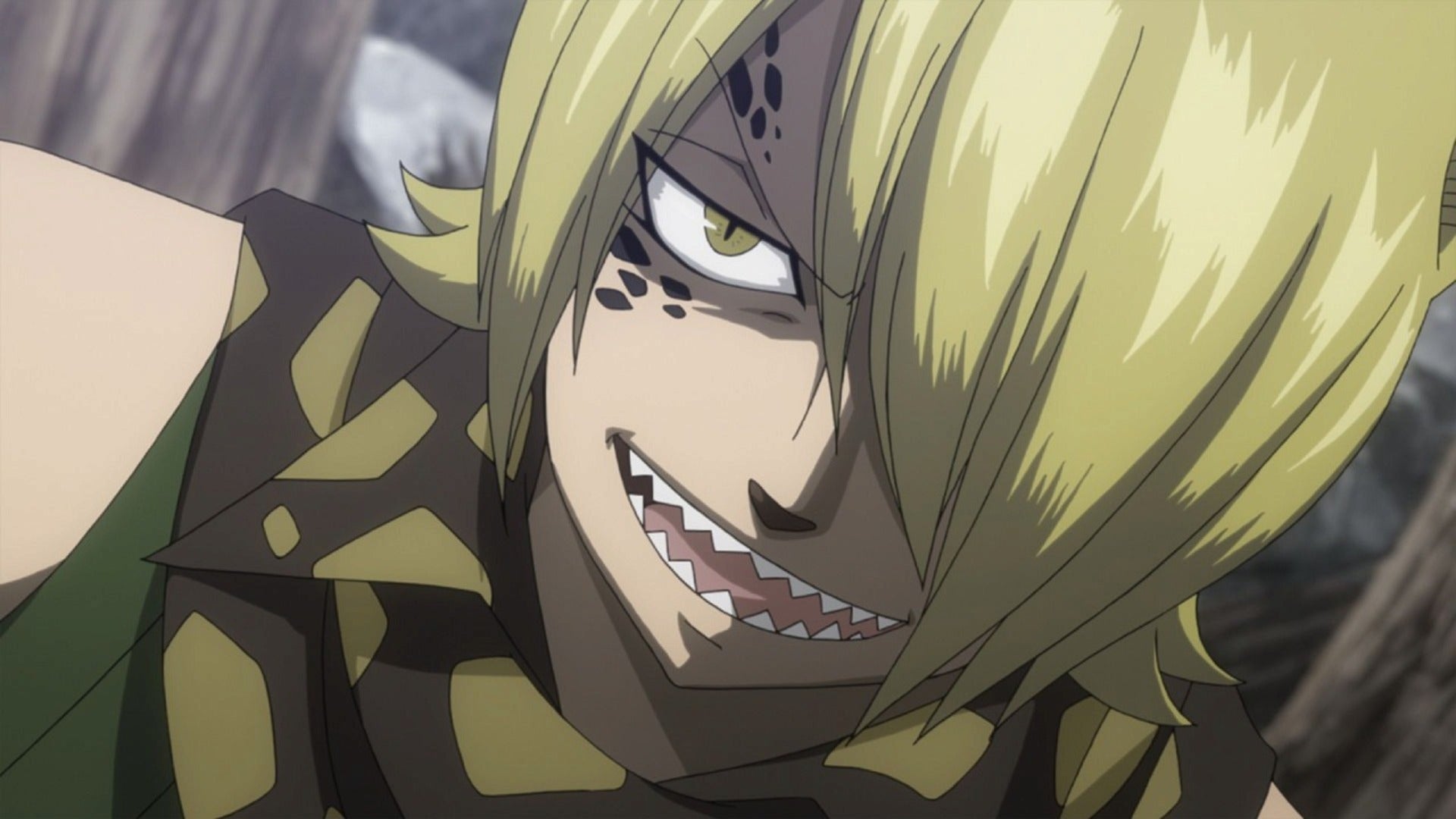 フェアリーテイル FAIRY TAIL フェアリーテイル ガストショップ限定 B2タペストリー