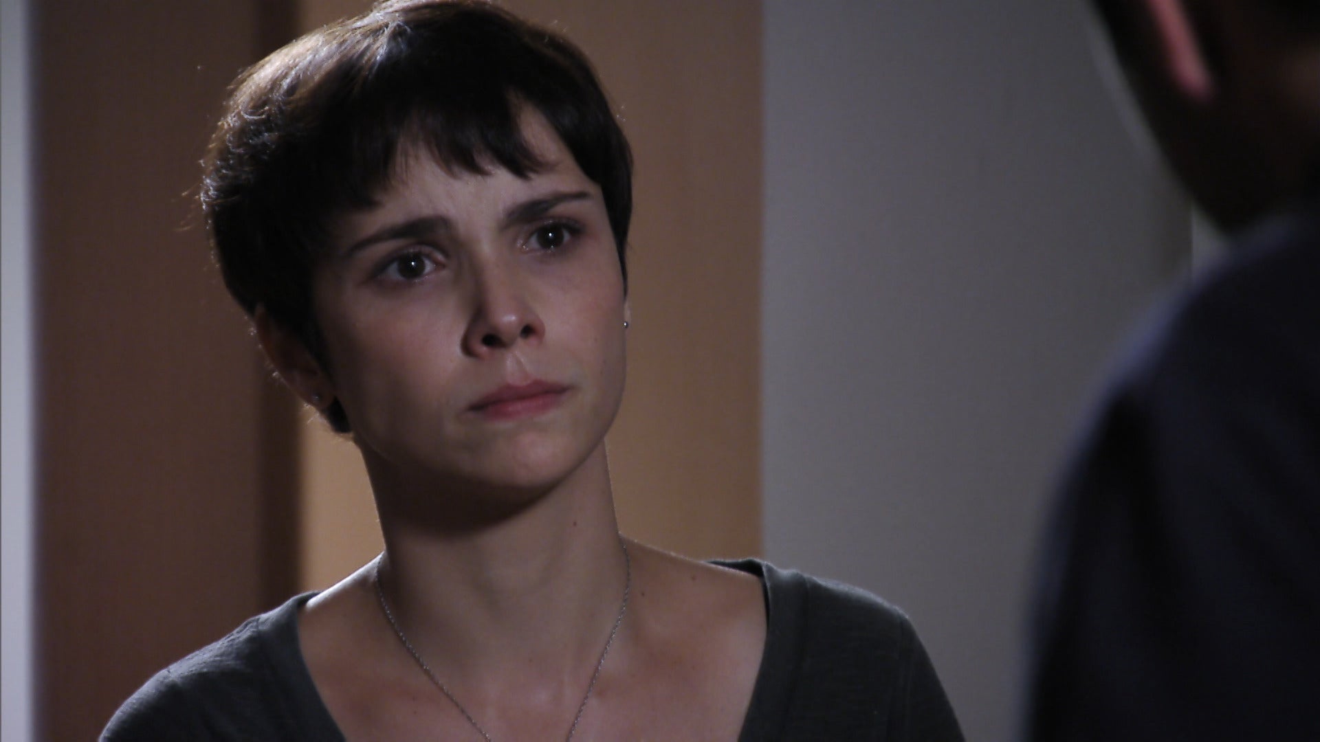 アベニーダ・ブラジル 〜愛と復讐の悪女<デビル>〜 【インターナショナル版】 36 Lemino(レミノ)/ドコモの新しい映像サービス