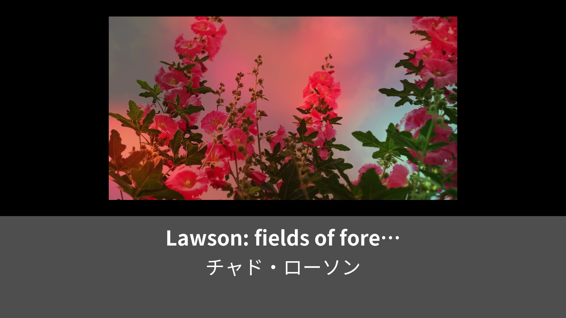 Lawson Fields Of Forever Solo Piano Visualizer Lemino