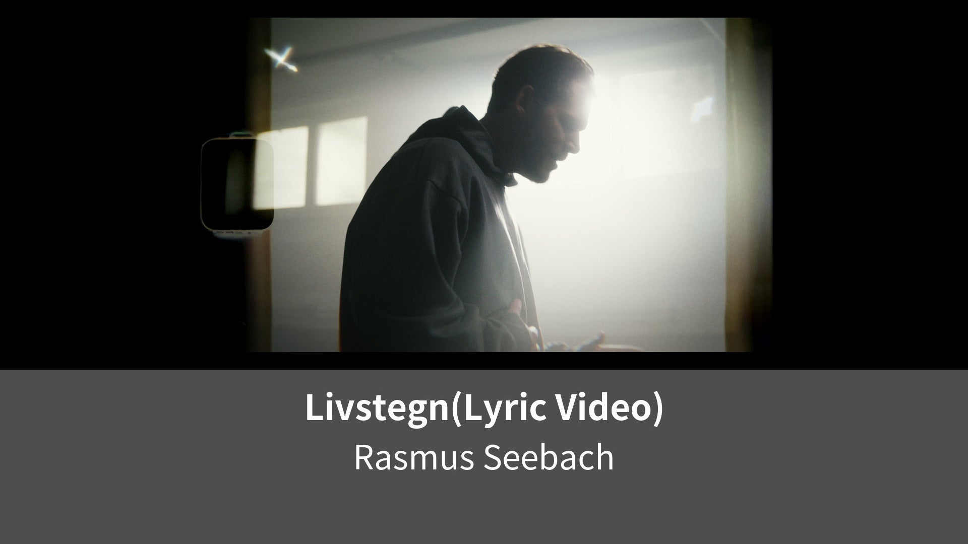 Livstegn Lyric Video Lemino