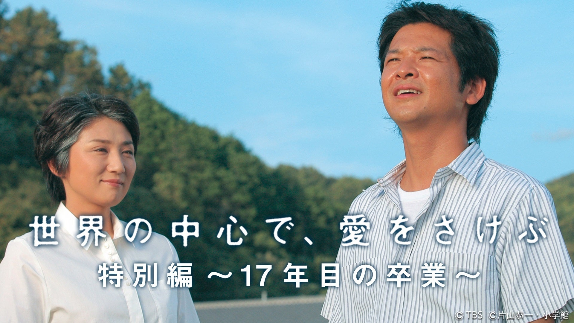 世界の中心で愛をさけぶ スペシャルセット