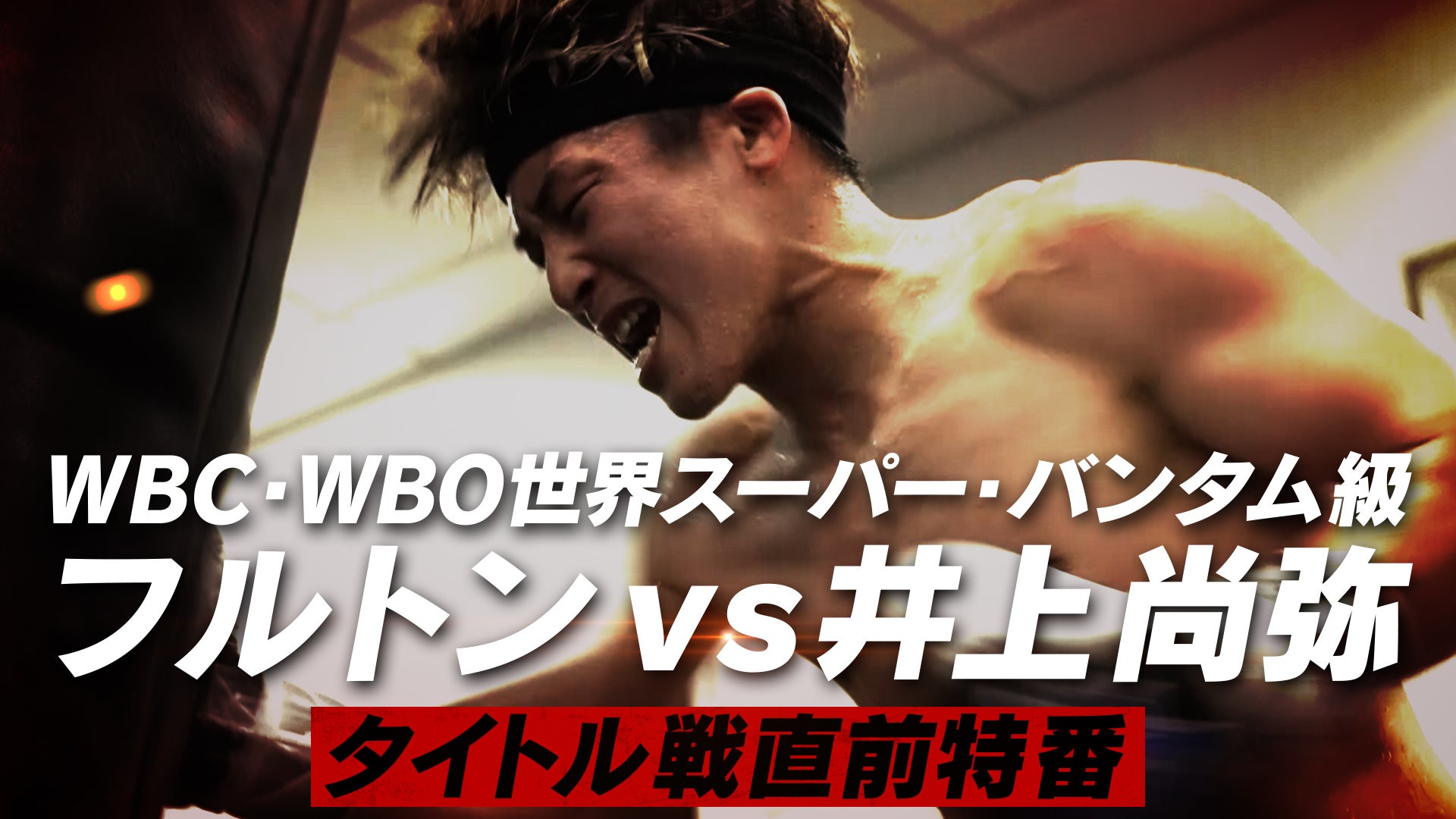 WBC・WBO世界スーパー・バンタム級　フルトンvs井上尚弥　タイトル戦直前特番