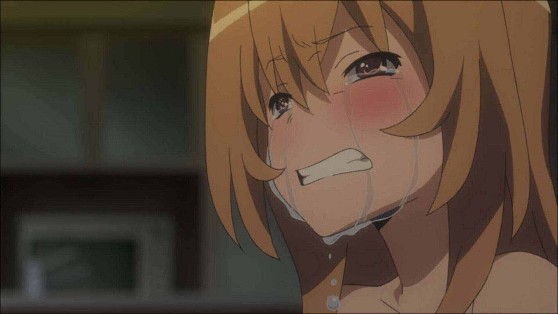 とらドラ！第19話 | Lemino(レミノ) - 映画・ドラマ・アニメや音楽