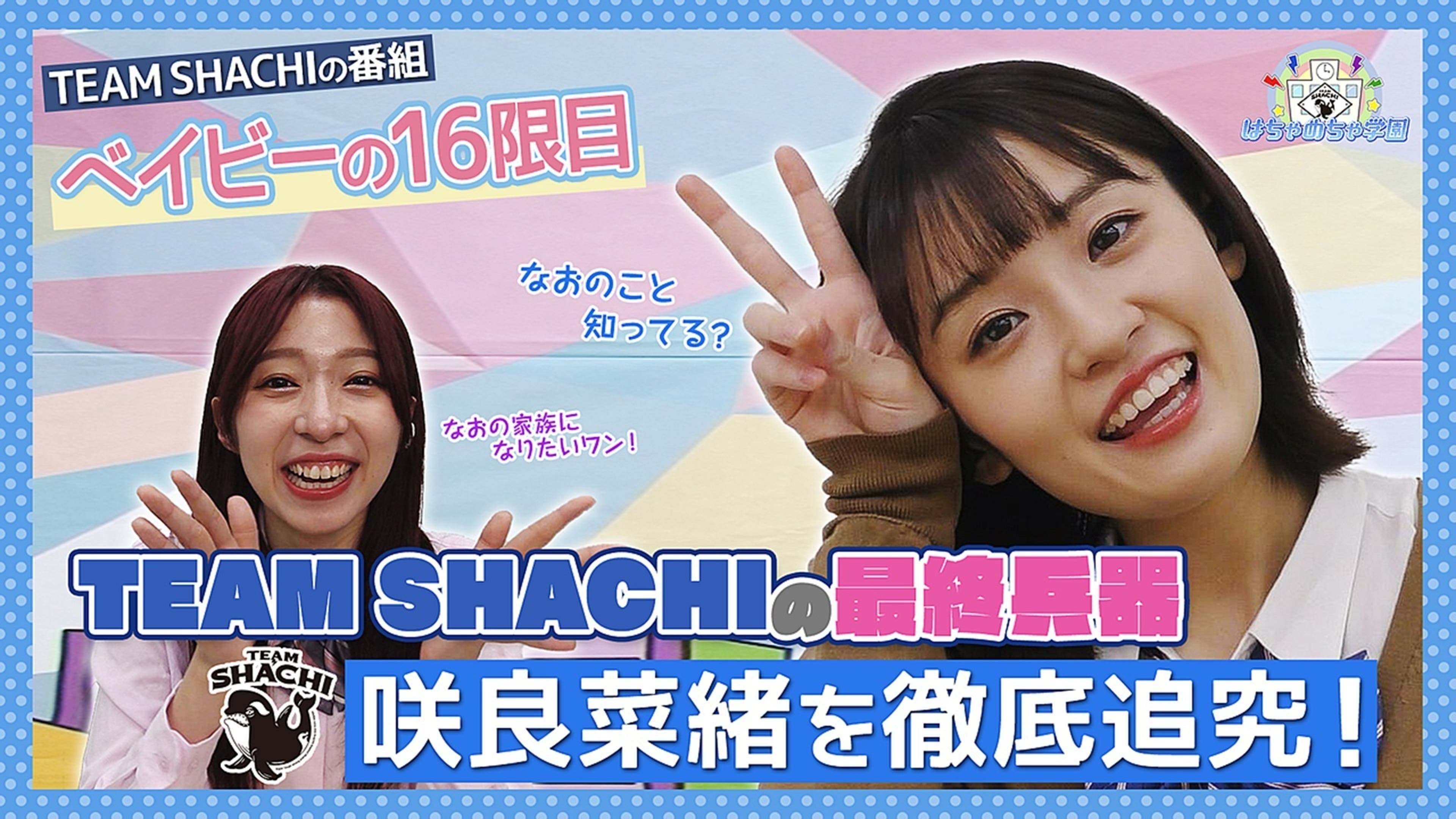 TEAM SHACHI はちゃめちゃ学園16限目 | Lemino(レミノ) - 映画・ドラマ 