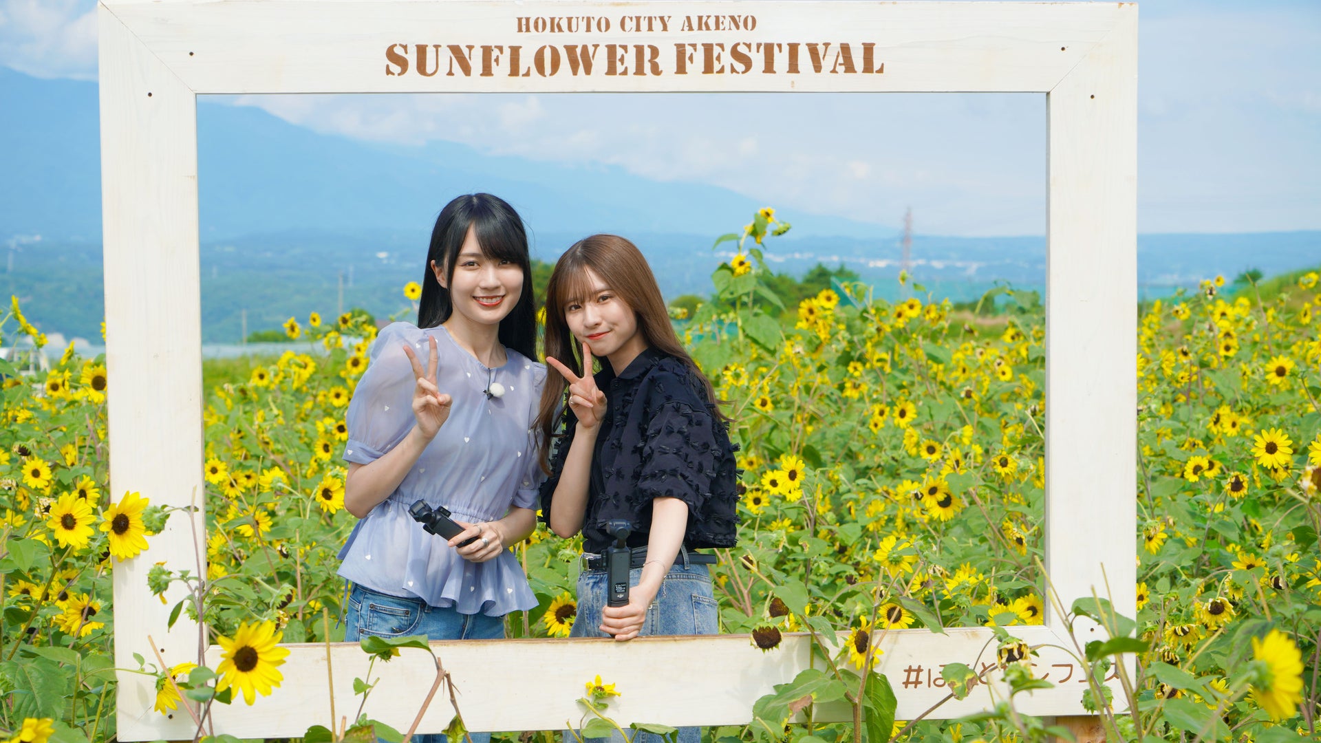 乃木坂46 乃木坂46 「新参者 二〇二五 in TOKYU KABUKICHO TOWER」SPECIAL SITE