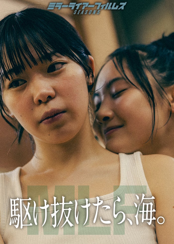 渡る世間は鬼ばかりDVD 渡る世間は鬼ばかり 年末スペシャル(橋田壽賀子ドラマ) | Lemino