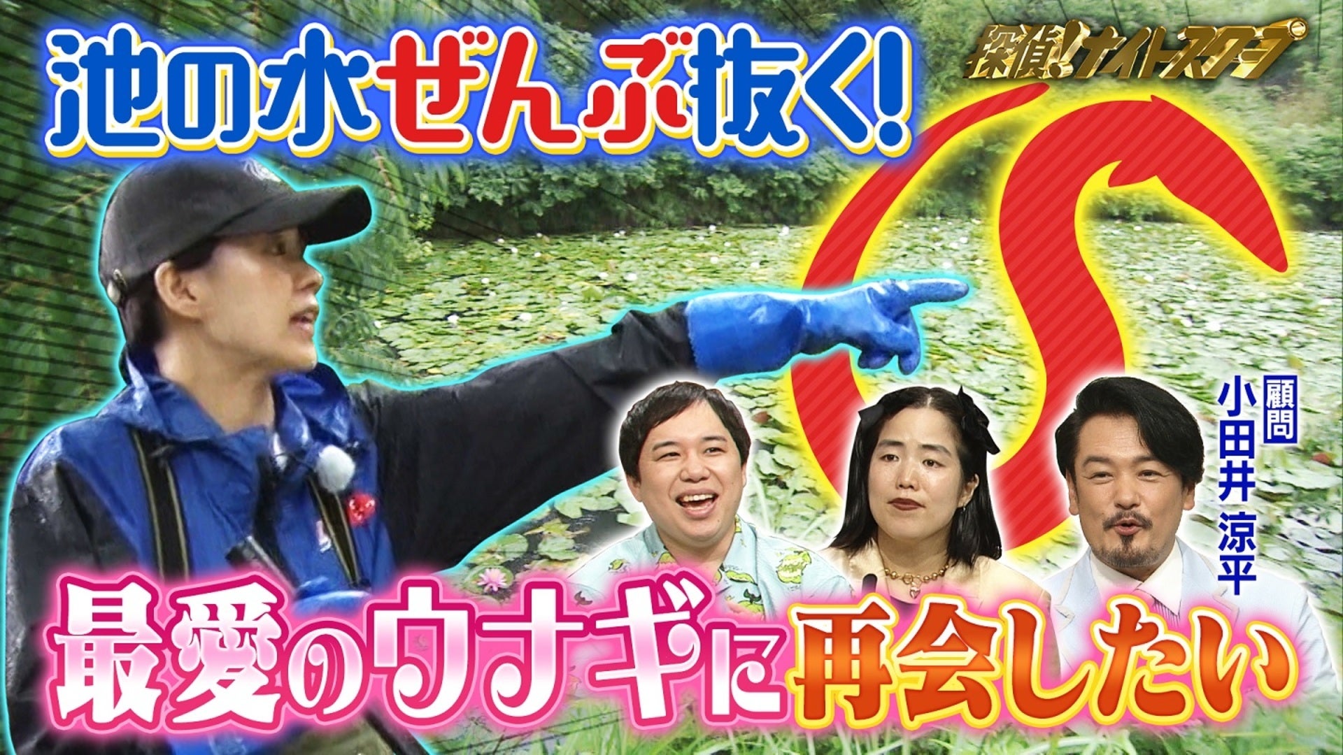 探偵！ナイトスクープ【2024年8月2日放送分】 | Lemino(レミノ