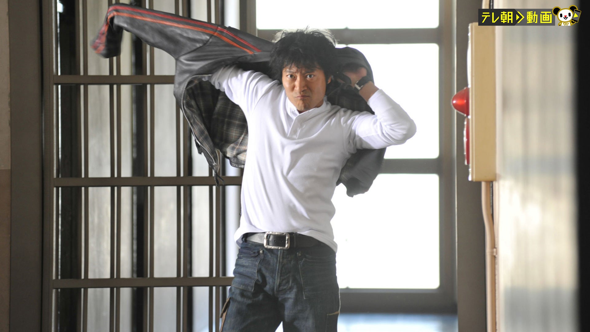 ８５３　刑事・加茂伸之介　ＤＶＤ－ＢＯＸ imgrc0071467085.jpg