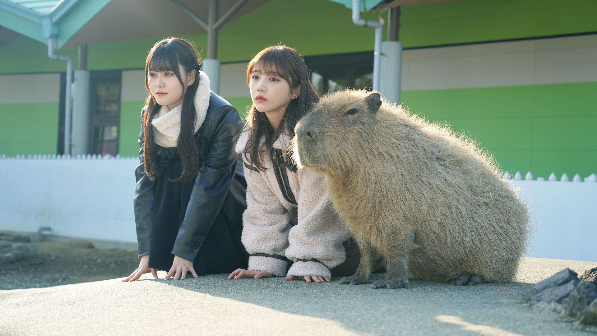 (値段交渉可)乃木坂逃避行SEASON 3 #8 サイン入りポラロイド a14055c_w1.jpg