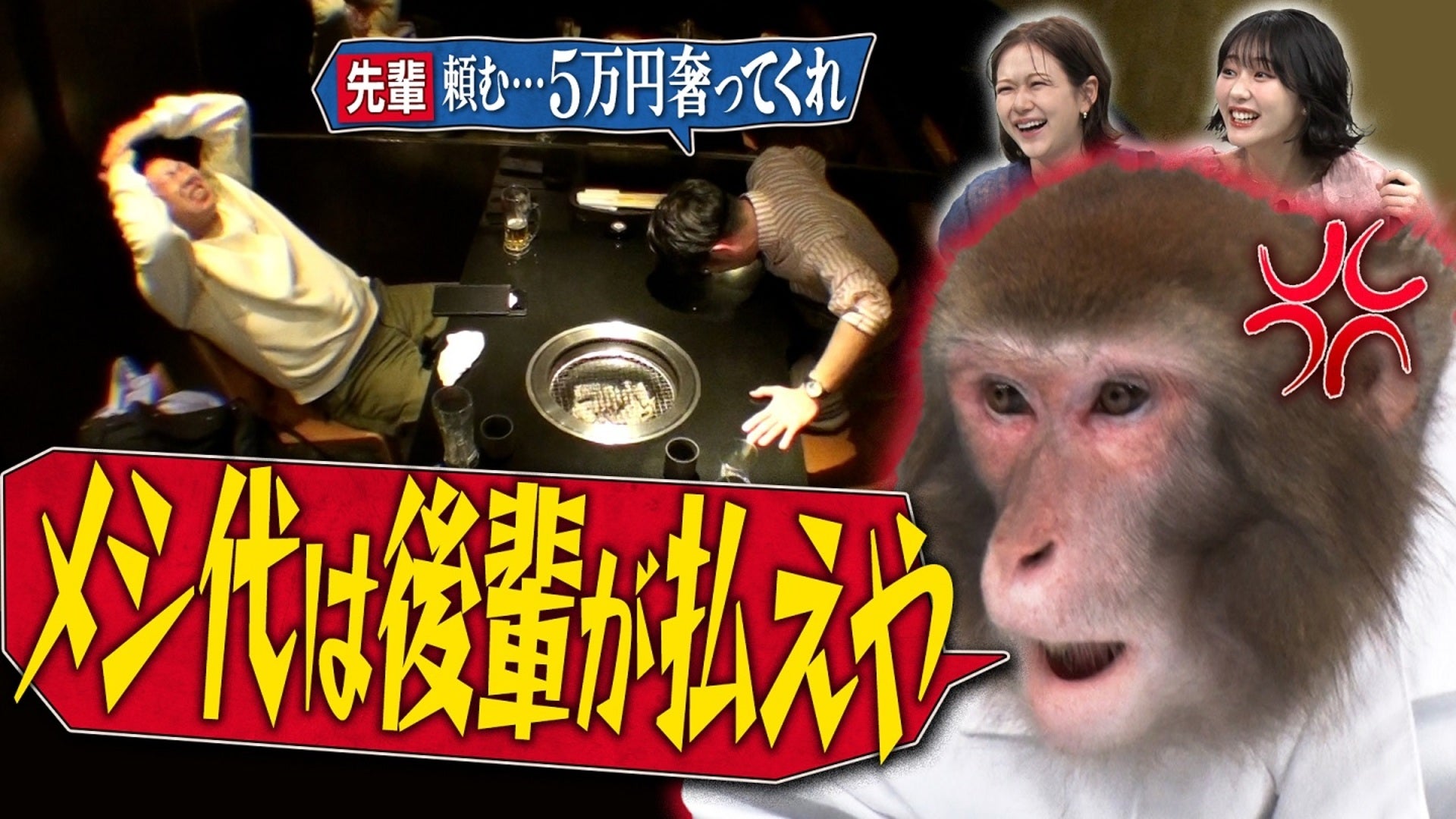 人間研究所 ～かわいいホモサピ大集合!!～ 【2025年4月16日放送分