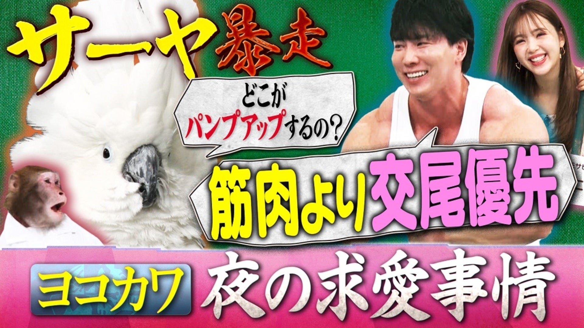 人間研究所 ～かわいいホモサピ大集合!!～ | Lemino(レミノ) - 映画