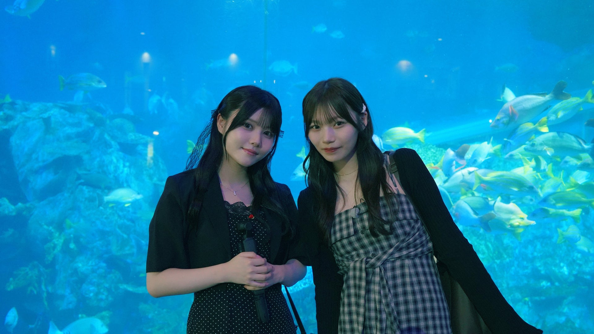 乃木坂、逃避行。SEASON3 #9 三重 前編（伊藤＆岡本） | Lemino(レミノ