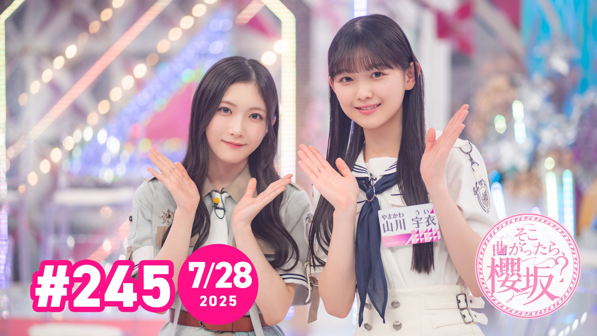 そこ曲がったら,櫻坂?  5本セット 5タイトル同時購入セット》 そこ曲がったら、櫻坂？ : 櫻坂46