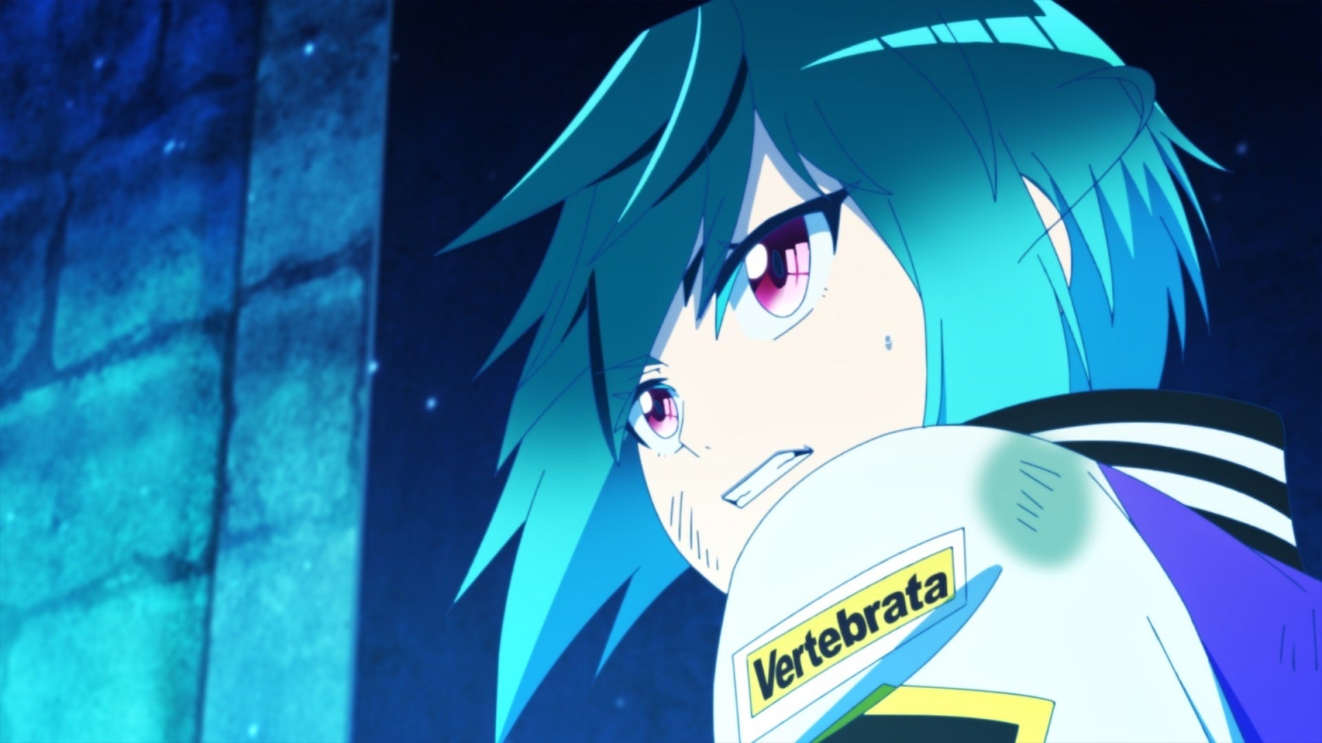 希少　こうのこのみ作 小さい　サーカス　パブミラー　 XZ 3611AD Pフィーバーからくりサーカス2 Light ver.（甘デジ）新台パチンコ