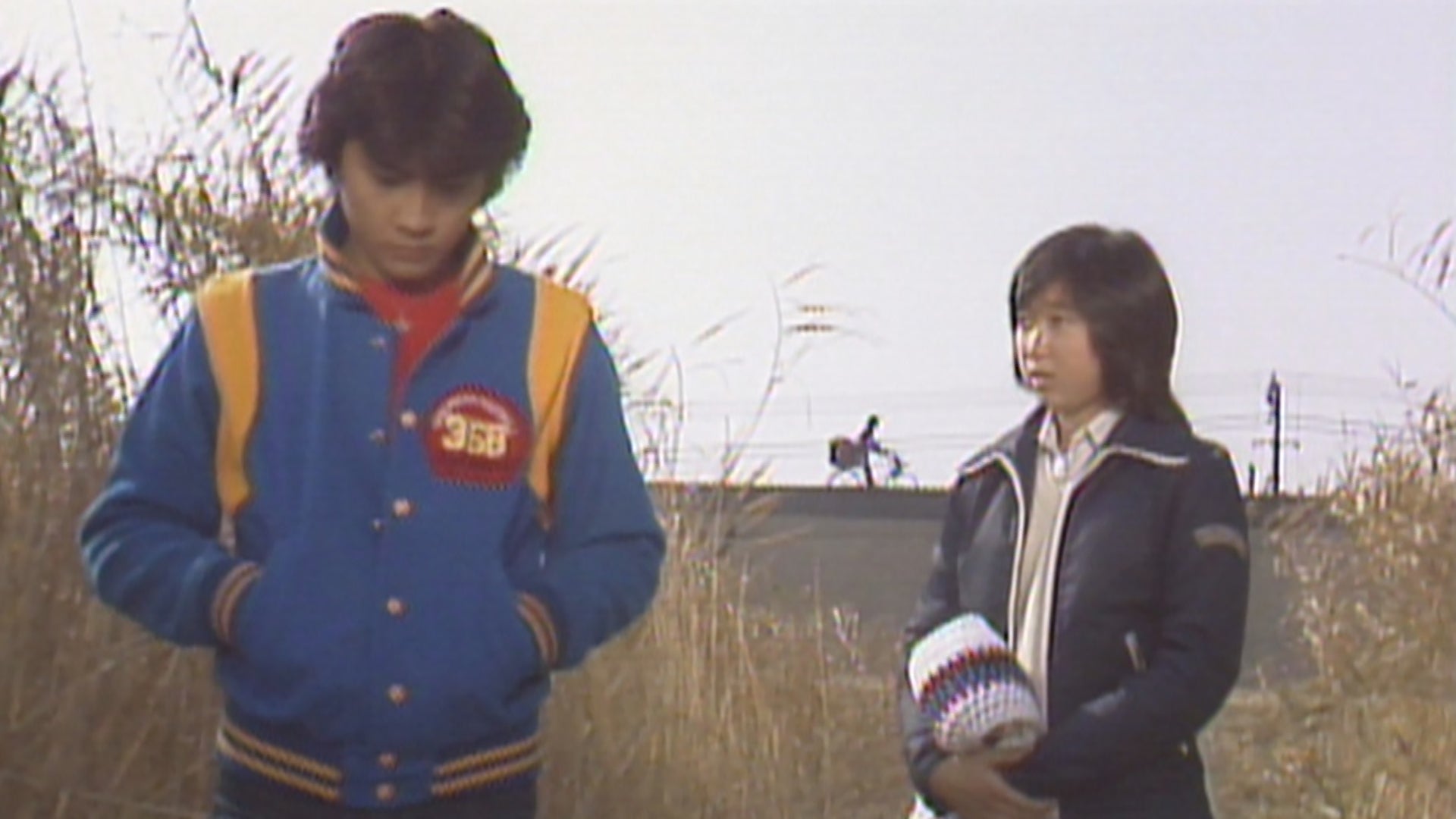 3年B組金八先生(第2シリーズ) 第13回 | Lemino(レミノ) - 映画・ドラマ