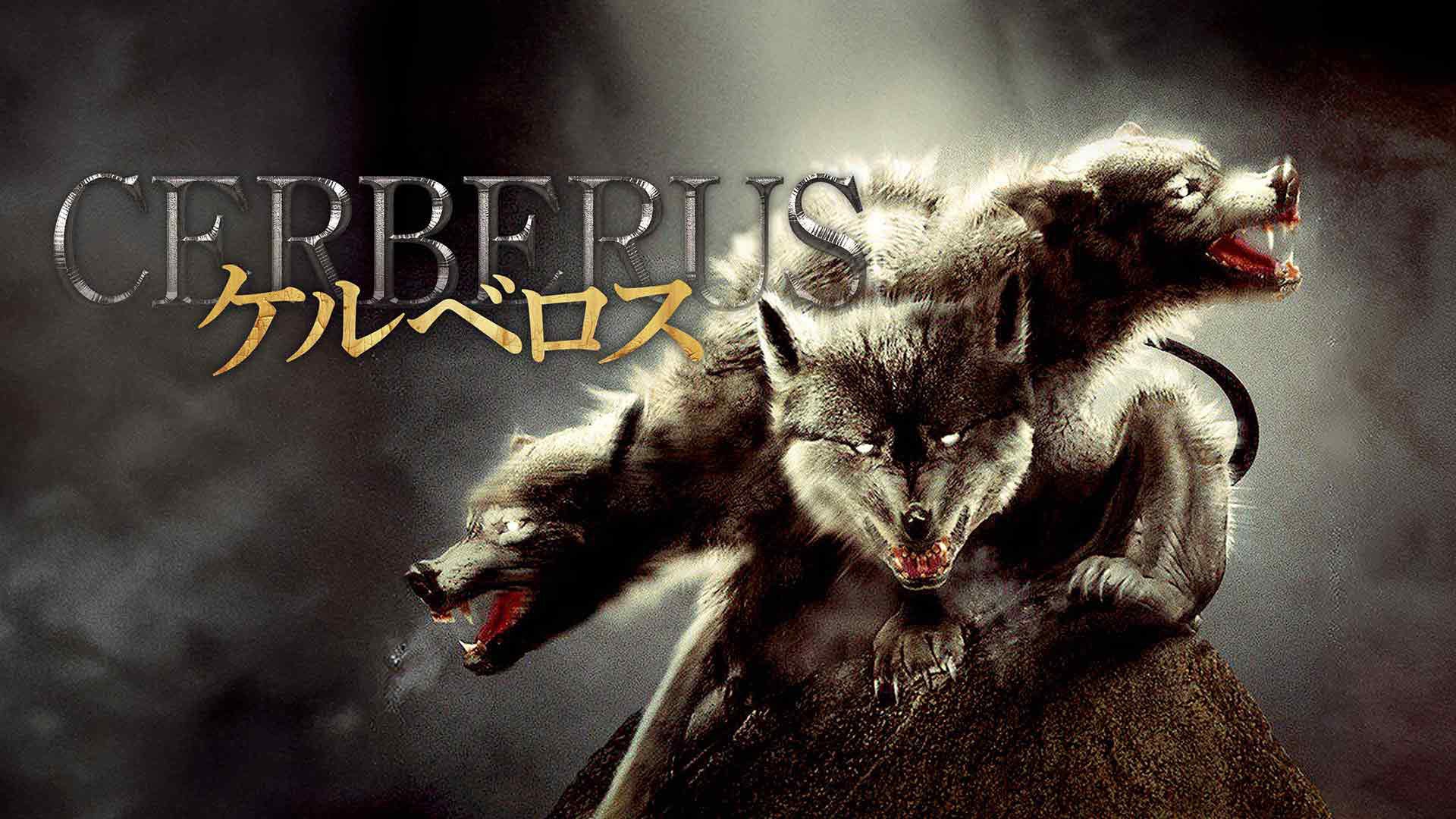 DDケプラー 3 コペルニクス1 ケルベロス1グリフォン3 25thシークレット