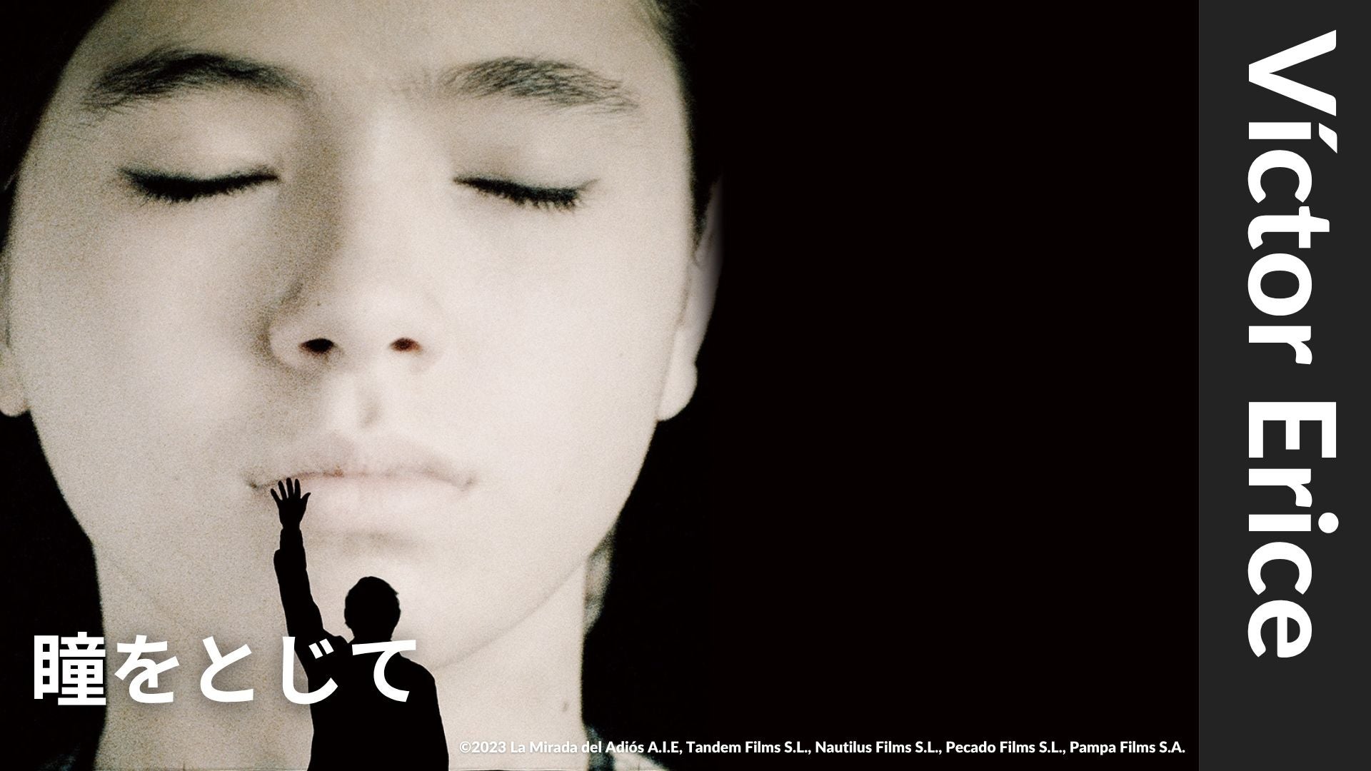 瞳をとじて 非売品　B2ポスター　ビクトル・エリセ 瞳をとじて 非売品 B2ポスター ビクトル・エリセ 瞳をとじて 非売品 B2