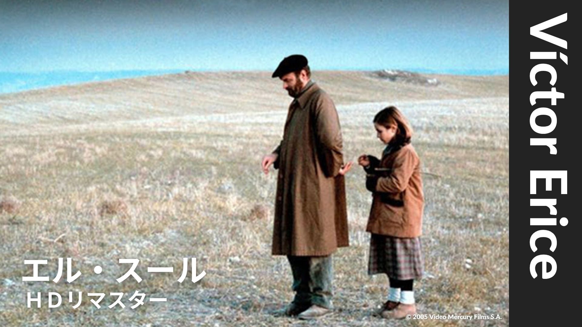 エル・スール　ＨＤマスター エル・スール HDマスター DVD - メルカリ