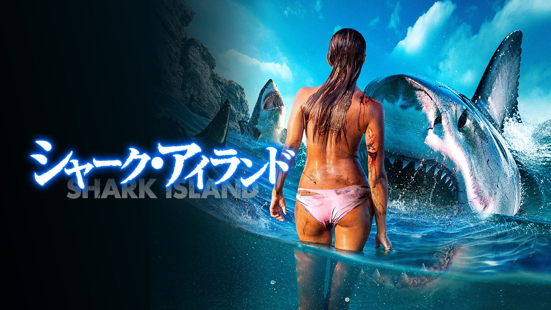 シャーク・アイランド | Lemino(レミノ) - 映画・ドラマ・アニメや音楽