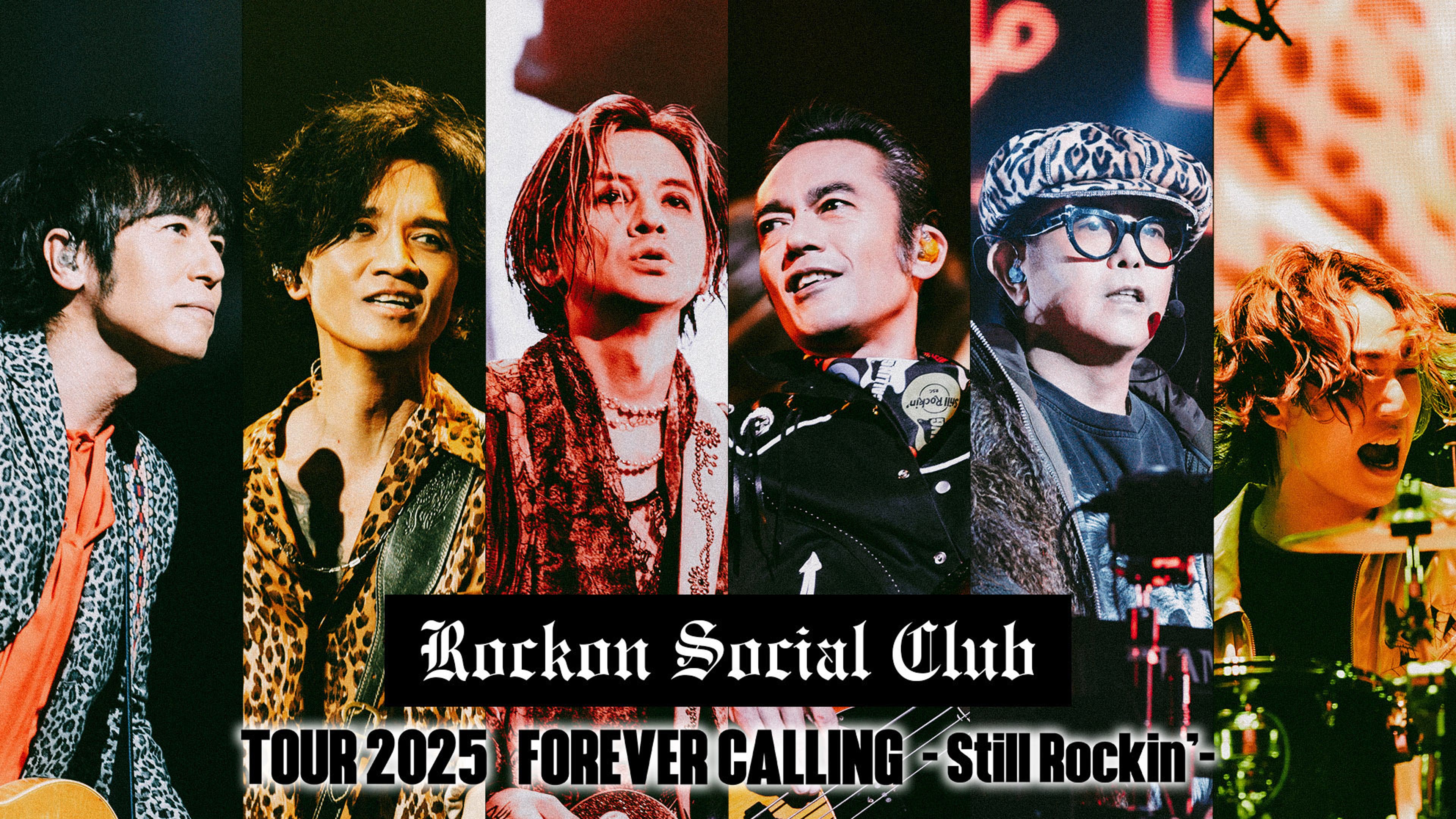 Rockon Social Club Tour 2025 FOREVER CALLING -Still Rockin 