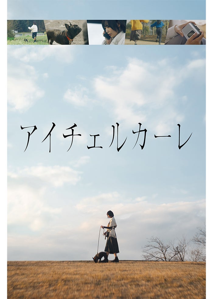 タスマニア物語 | Lemino(レミノ) - 映画・ドラマ・アニメや音楽