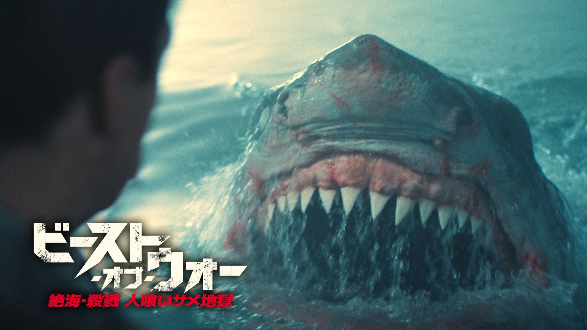 ビースト・オブ・ウォー 絶海・殺戮 人喰いサメ地獄 | Lemino(レミノ