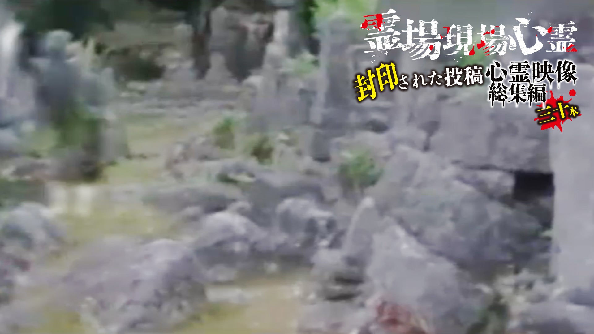霊場現場心霊」 封印された投稿心霊映像総集編三十本 | Lemino(レミノ